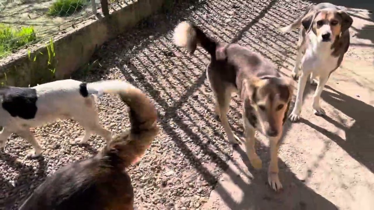 Casimir, Kurt, Juri, Jay, Scotti 🥰