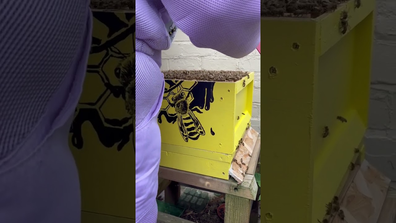 Part 18 of 26. Found her!