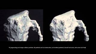thinkingParticles VFX - in-Training Meradi Omar's experiments Wealth