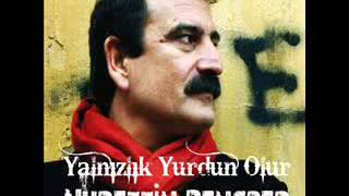 Nurettin Rencbee-yanlizlik yurdun olur