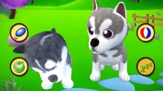 Talking Husky Dog games, Android games play 2020 screenshot 5