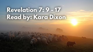 Revelation 7: 9 - 17