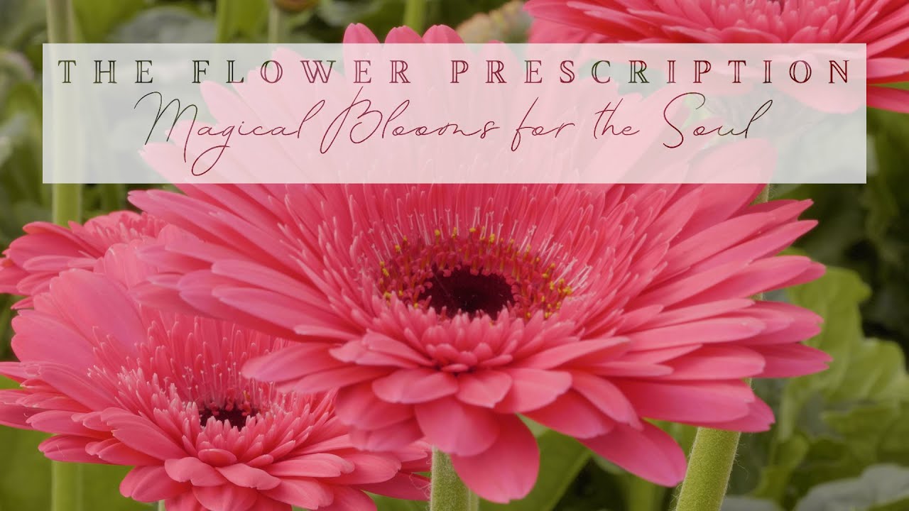 The Flower Prescription
