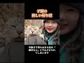 1日に3回も「善意」で連れ戻される。この山道には、子猫の絶望が詰まっていた。