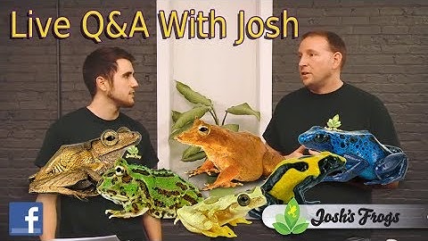 Q&A with Josh!