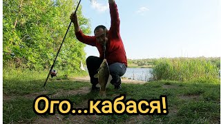 Рыбалка на карася.Ура,карась пошел!