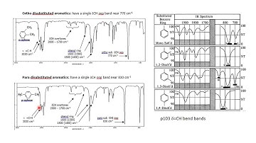 Interpreting IR Scans Part 3 Exp 4