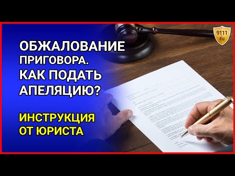 ОБЖАЛОВАНИЕ ПРИГОВОРА. Как подать апелляцию в суд. Инструкция от юриста / Отмена приговора