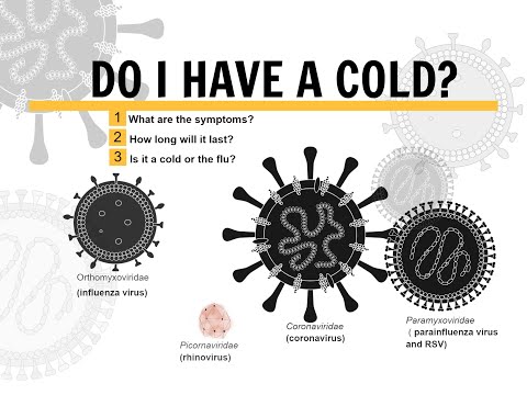 The Common Cold:  Timeline of Symptoms