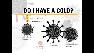 The Common Cold:  Timeline of Symptoms