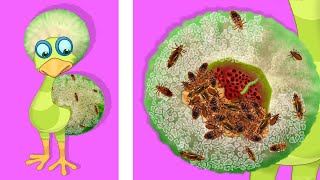 My Singing Monsters Dandidoo And Theutic Journey For My Singing Monsters