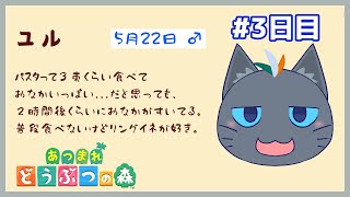 【あつまれ どうぶつの森】妖精無人島魔法3日目【ユル・バウム】