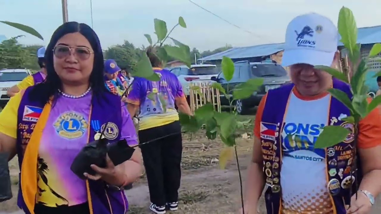 A Tree Growing Activity