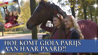 BRITT en GIOIA PARIJS pimpen EVE | PaardenpraatTV