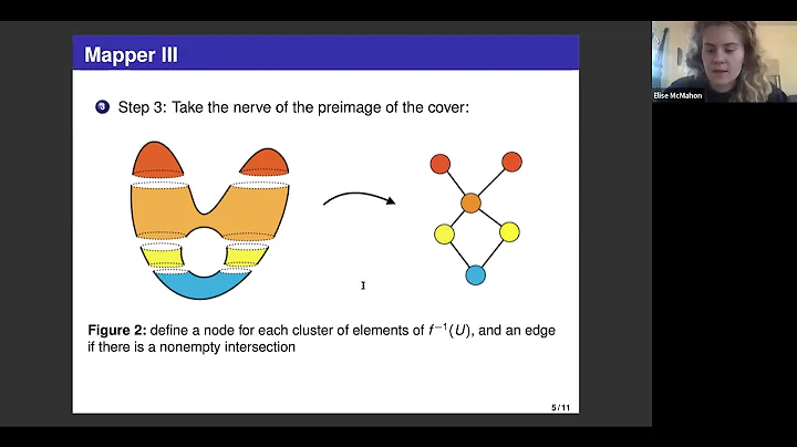 Using Mapper to Study Machine Learning Algorithms ...
