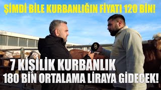 7 Kişilik Kurbanlık 180 Bin Ortalama Liraya Gidecek! / Şimdi Bile Kurbanlığın Fiyatı 120 Bin!