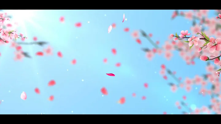 Simple wedding peach blossom Falling flower background video
