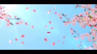 Simple wedding peach blossom Falling flower background video screenshot 4