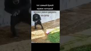 Ааа не попал#мужик#мем#рекомендации#обезьяна#мяч