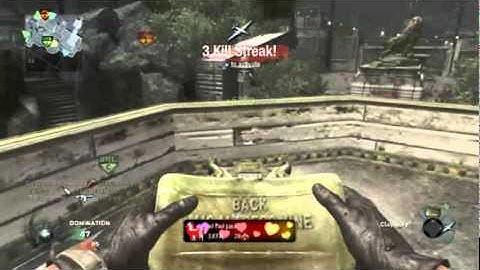 Call of Duty Black Ops: Zoo Tomahawk across map