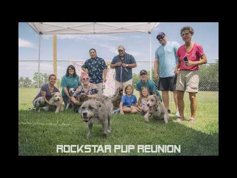 RemmenLos @Pasar Makan\u0026Dansa