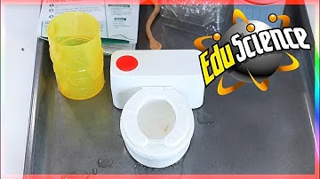 EduScience Wacky Lab Super Gross Science