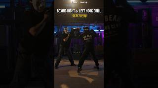 Boxing Right Hook Left Hook Combination (Double Hook) 라이트훅 레프트훅