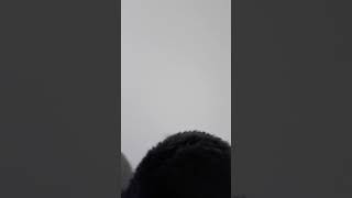 Zip zip zip click screenshot 4