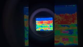 Thermal imaging scope(shutterless) sale #huntinggear #nightvision #thermalimaging #scope #telescope