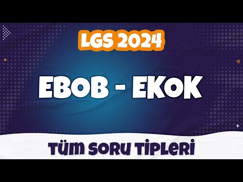 Ebob Ekok - Tüm SORU TİPLERİ | LGS 2024
