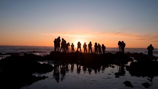 On the Road with Alex and Henry: Oregon Coast screenshot 5
