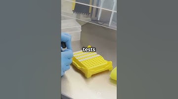 Predicting Cancer Outcomes: Imaging + DNA #sciencefather #biophotonics #science