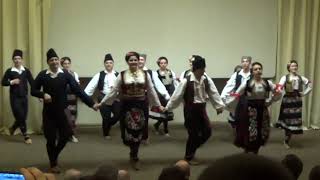 Сербские работяги и студенты танцуют национальный танец