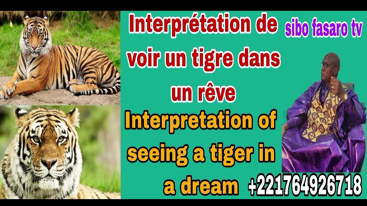 Interprétation de voir un tigre dans un rêve YouTube