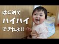 【生後300日】はじめてのハイハイ！ぎこちないハイハイをする生後9ヶ月の赤ちゃんがかわいすぎ (Day 300. Ponu crawled for the first time!!!!!)