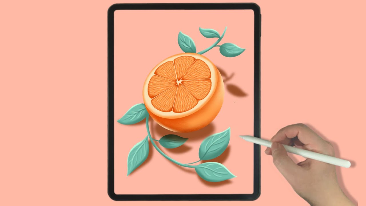 Orange Fruit and Leaves - iPad Procreate Drawing - Digital Illustration ...