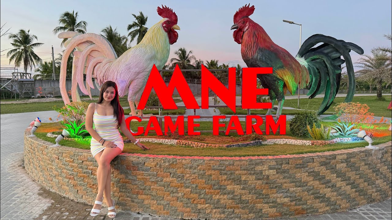 Isa sa napakalaki at napakagandang Farm sa Cebu || MNE