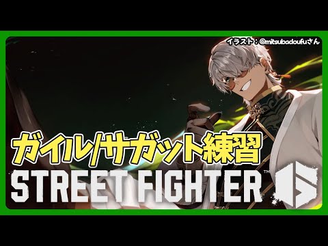 【ストリートファイター6】おいおいおい！連日大会出るやんけ!!という顔をした配信【アルランディス/ホロスターズ】