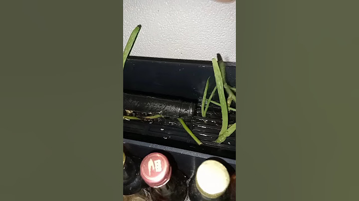 Aloe Vera on Topfilter #aloevera #Shortbeta