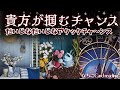 【タロット占い🔮】掴もうぜ‼️大チャンス💪✨【笑いと癒しの占い】