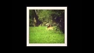 Mr Twin Sister - Meet The Frownies ( Slowed Loop )