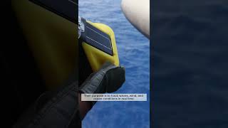 They Control the Ocean Before the Mission Starts #military #navy #technology #ocean #sofar