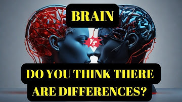 Male vs  Female Brain: Is There Really a Difference?