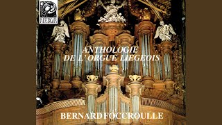 Download Lagu Liber fratrum cruciferorum leodiensium: Echo MP3