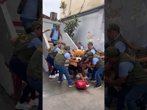 El osito THERMA