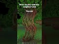 The neighbor's kid be like...  #lifestealsmp #minecraft #smp #survival #minecraftmeme #memes  #meme