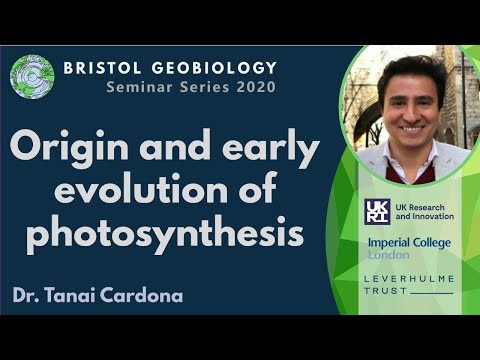 منشا و تکامل اولیه فتوسنتز | دکتر تانای کاردونا