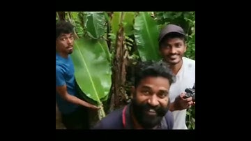 M4 tech fanpage//whatsapp status video//new status//