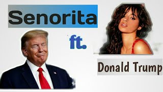 Senorita song lyrics । Donald Trump wwe by SpeakWell Akale