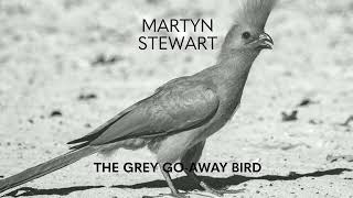 Grey Go-away bird - LEARN TO LOVE. FIGHT TO PROTECT